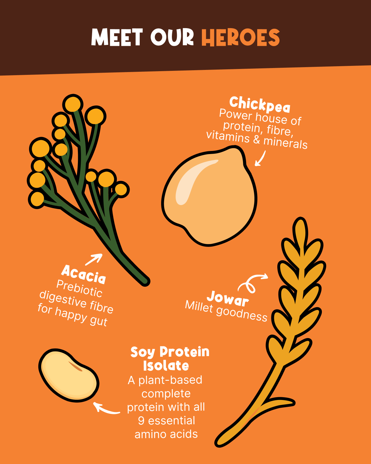 Illustration of chickpea, acacia, jowar, and soy protein isolate with text on an orange background.